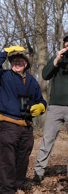 2022_04_30_Whites Woods_Todd_bird walk_02.jpeg
