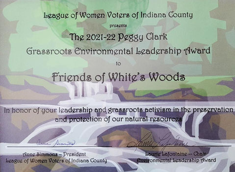 LWV-Peggy-Clark-Award-edited.jpg