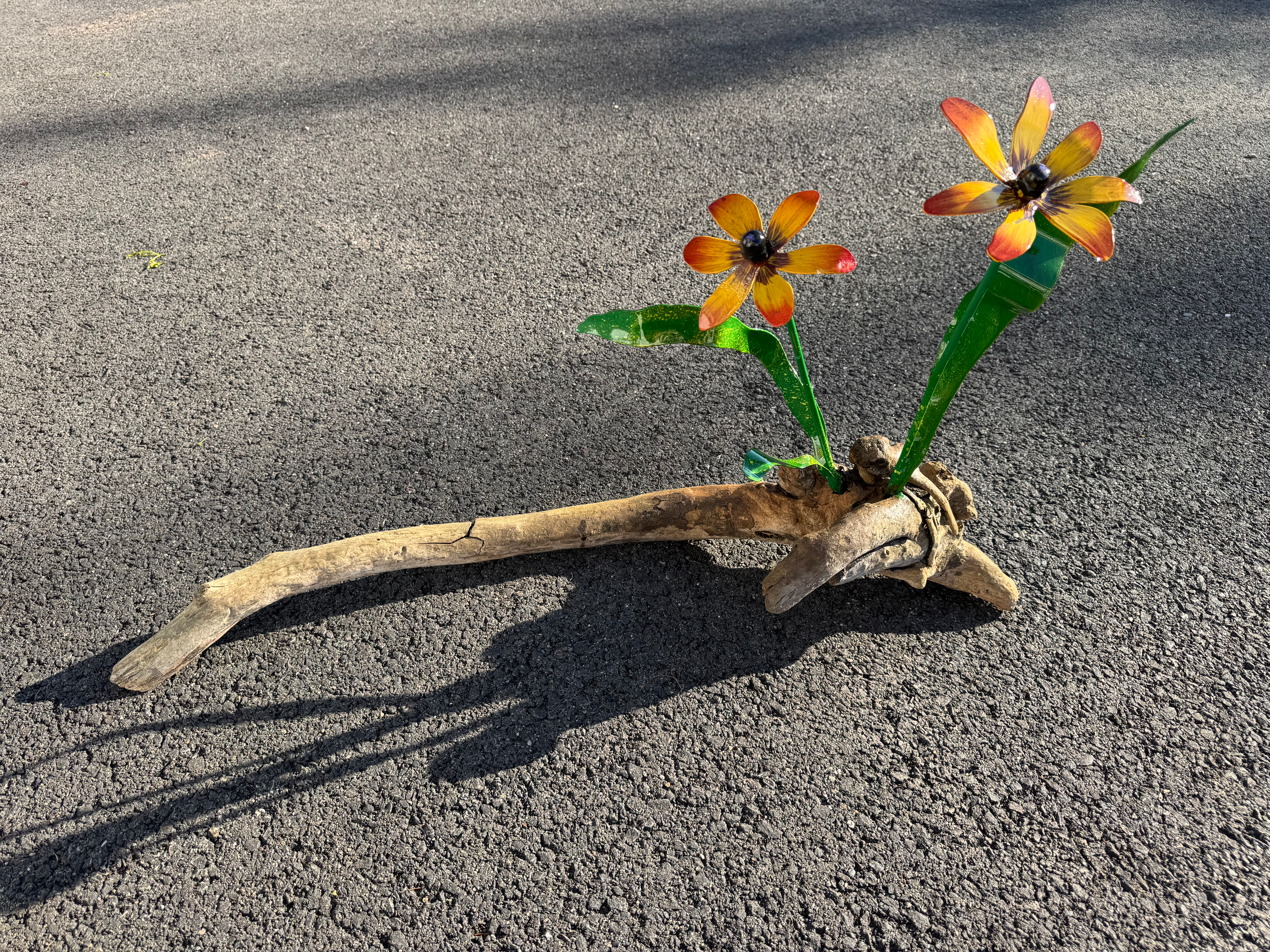 Black eyed Susan’s on driftwood
