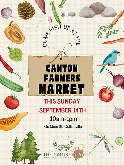 Farmers Market 9.14.jpg