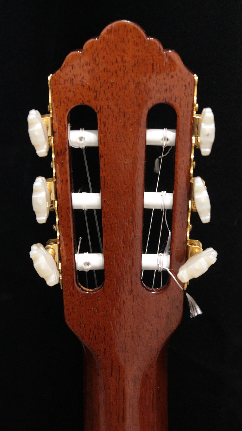Miniatura: BUSCARINI Chitarra Classica elettrificata