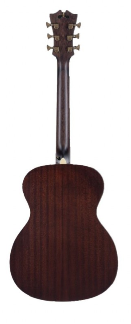 Miniatura: D'ANGELICO Premier Tammany Caramel Burst