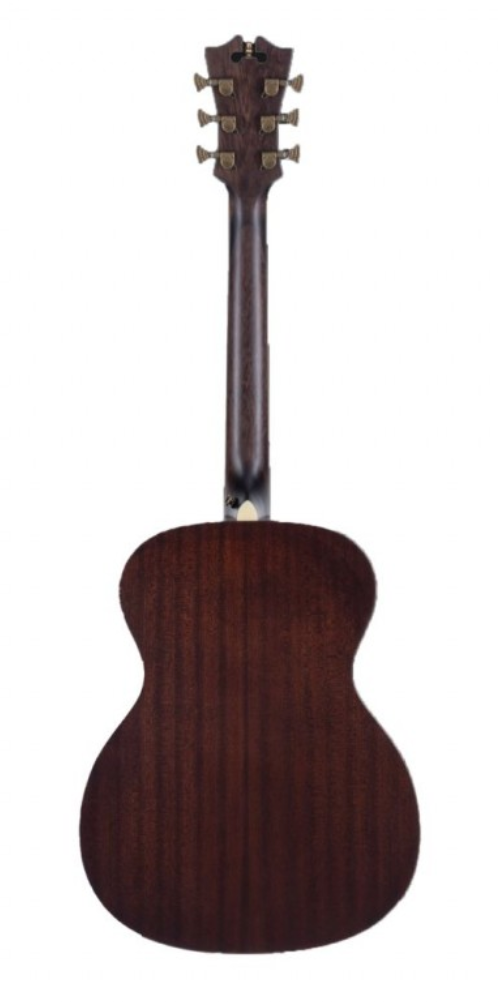 Miniatura: D'ANGELICO Premier Tammany Aged Burst