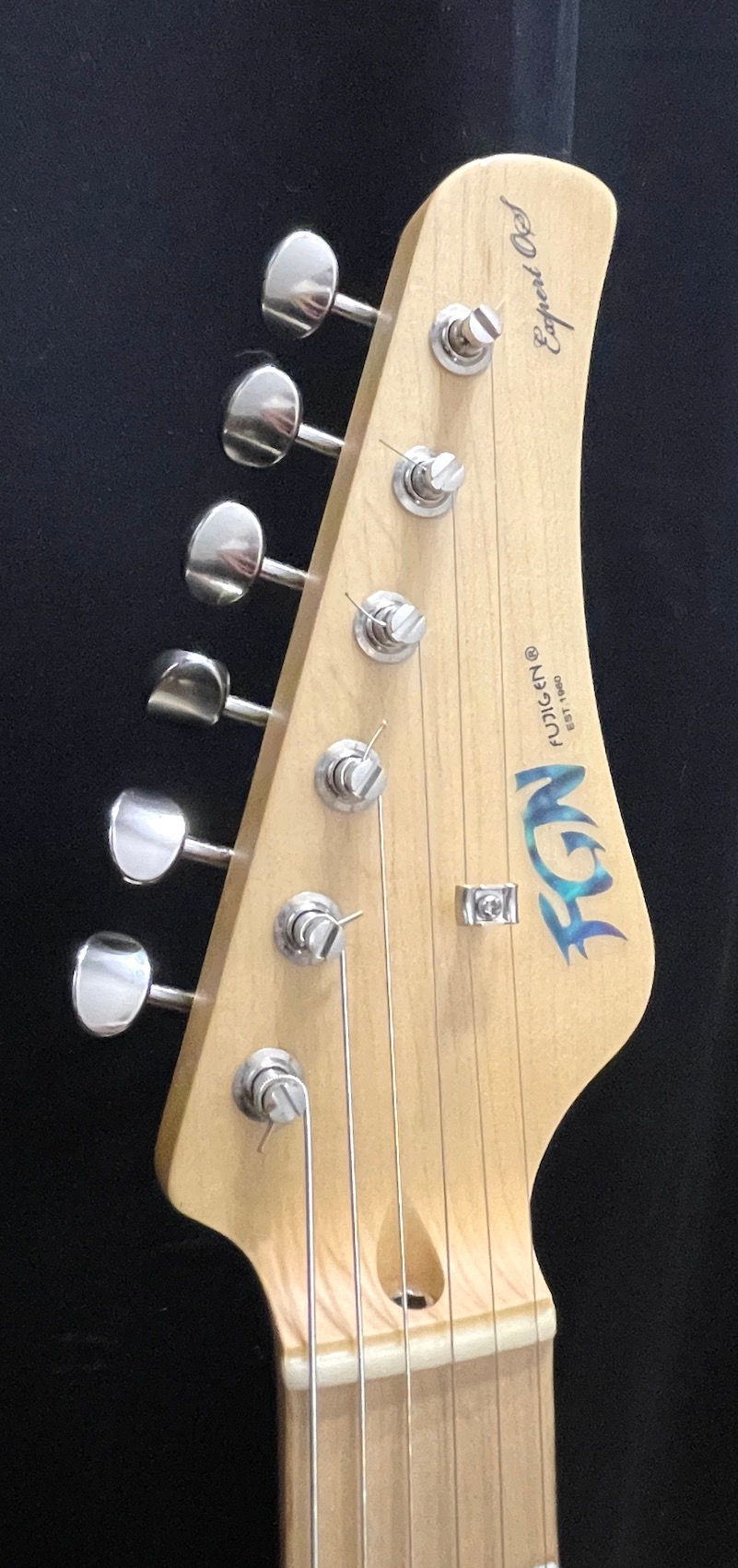 Miniatura: FGN EXPERT ODYSSEY HSS