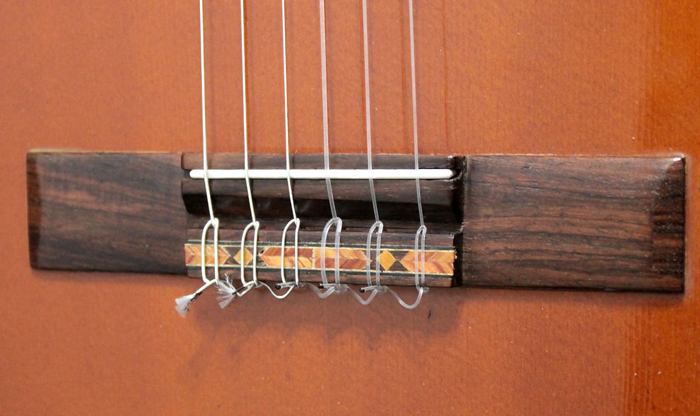 Miniatura: BUSCARINI Chitarra Classica elettrificata
