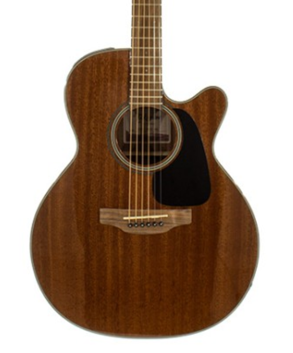 TAKAMINE GSN11CE