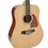 Miniatura: RICHWOOD RD-17-12 Chitarra Acustica 12 corde