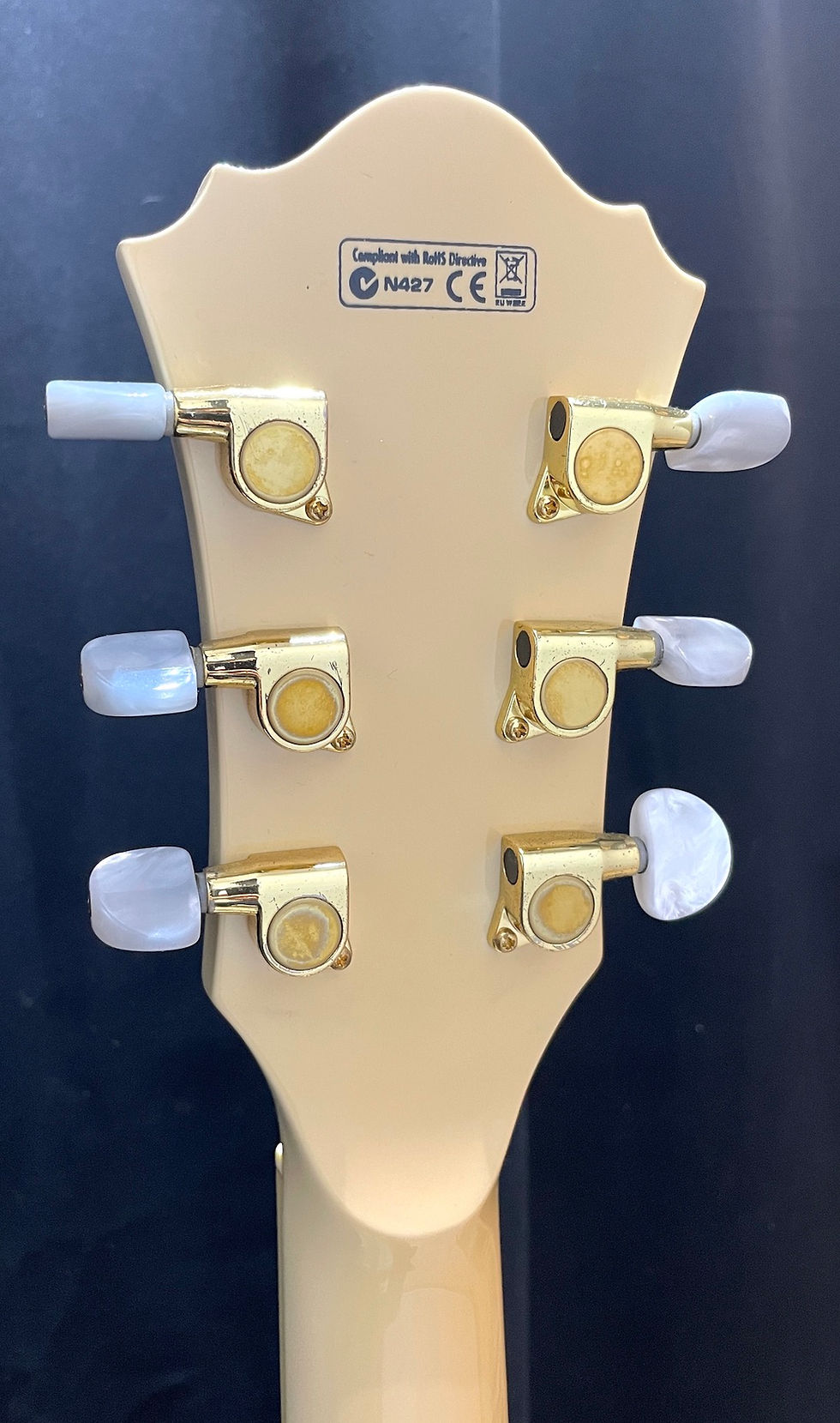 Miniatura: IBANEZ AF75TDG Ivory