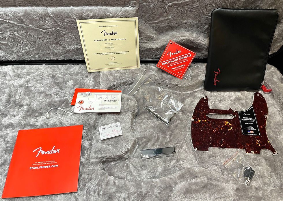 Miniatura: FENDER Telecaster American Professional II 3 Color Sunburst 2021