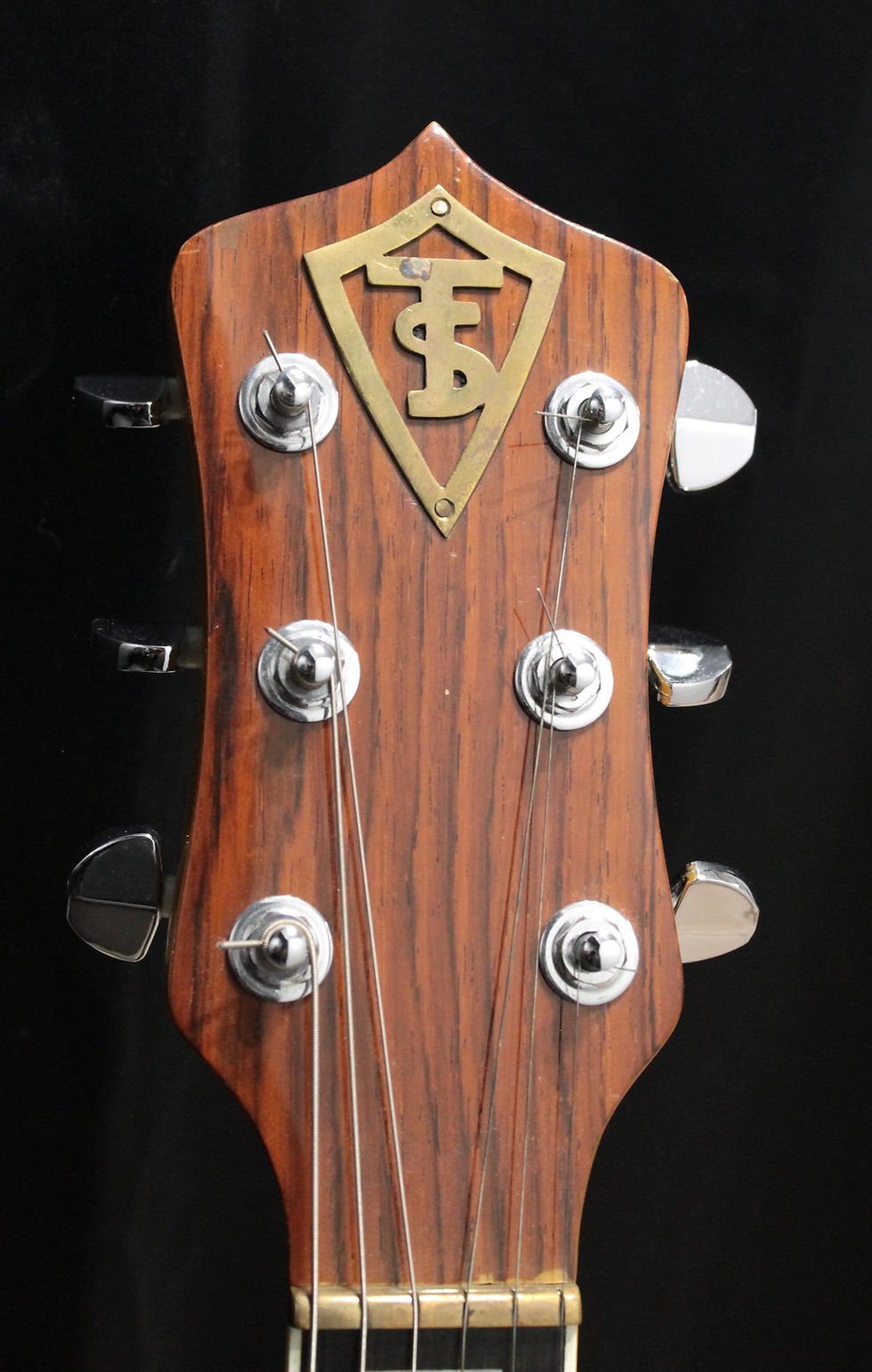 Miniatura: STANZANI/TOMASSONE Alembic copy