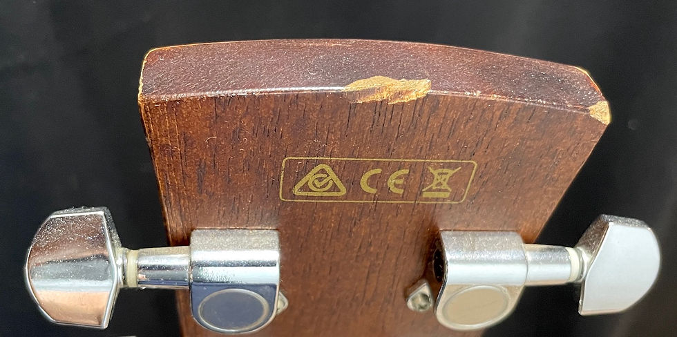 Miniatura: IBANEZ AW54CE-OPN Natural