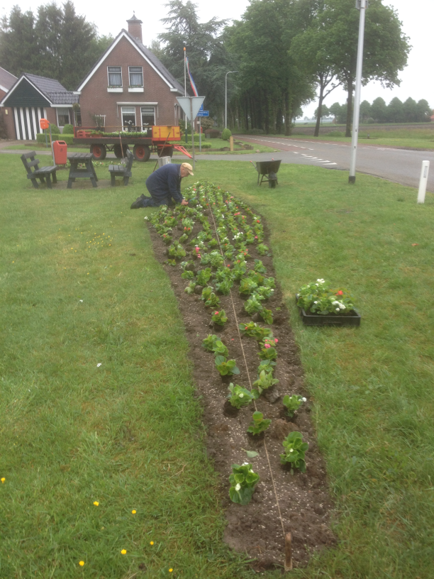 Bloemperkjes van meneer Koopman