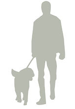 Dog Walking_edited.jpg