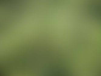 Energía limpia para el “Jardín”, contaminación y muerte para el resto del mundo