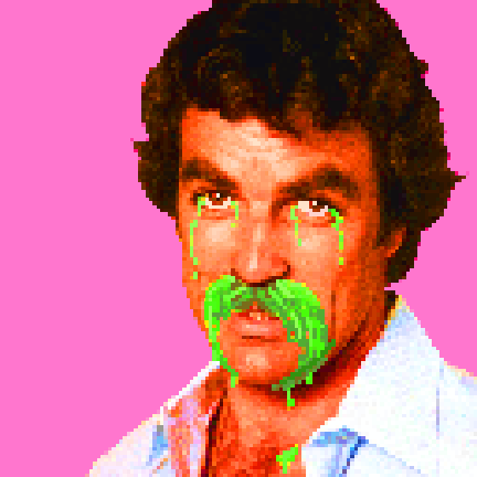 sellek.gif