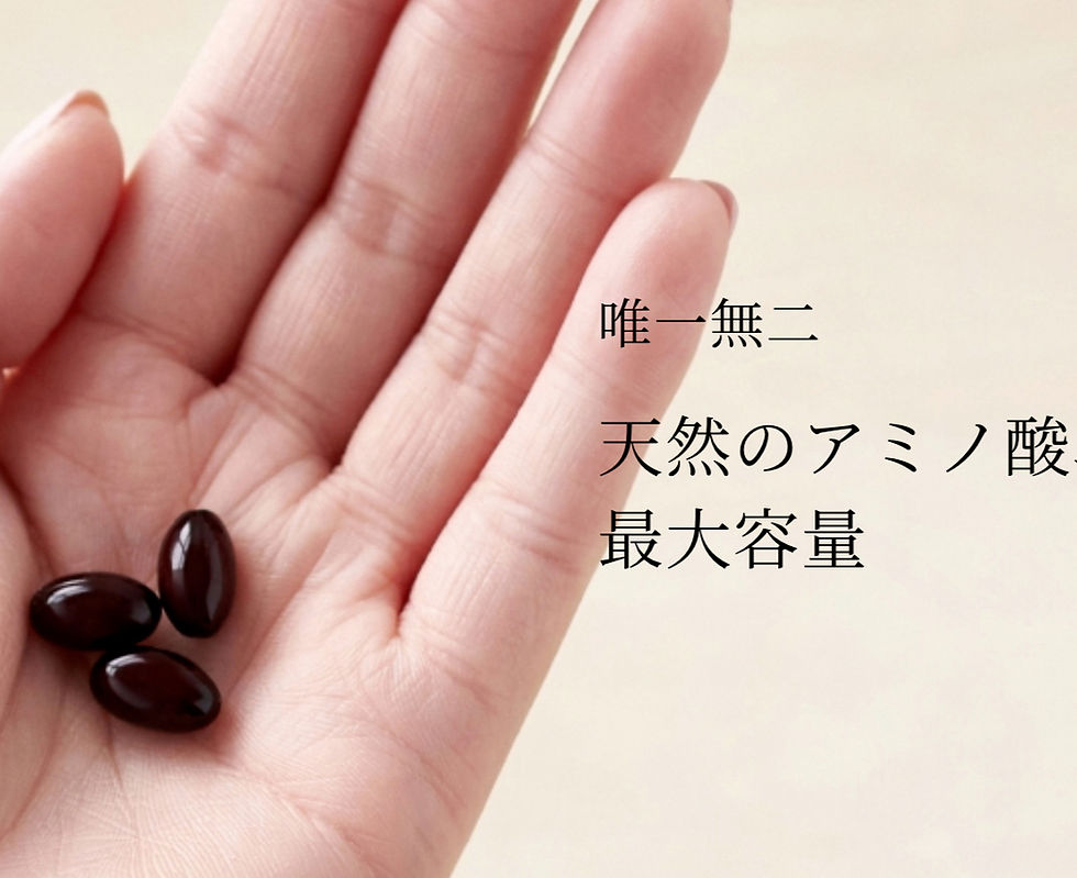 サムネイル： 京すっぽん[定期購入]