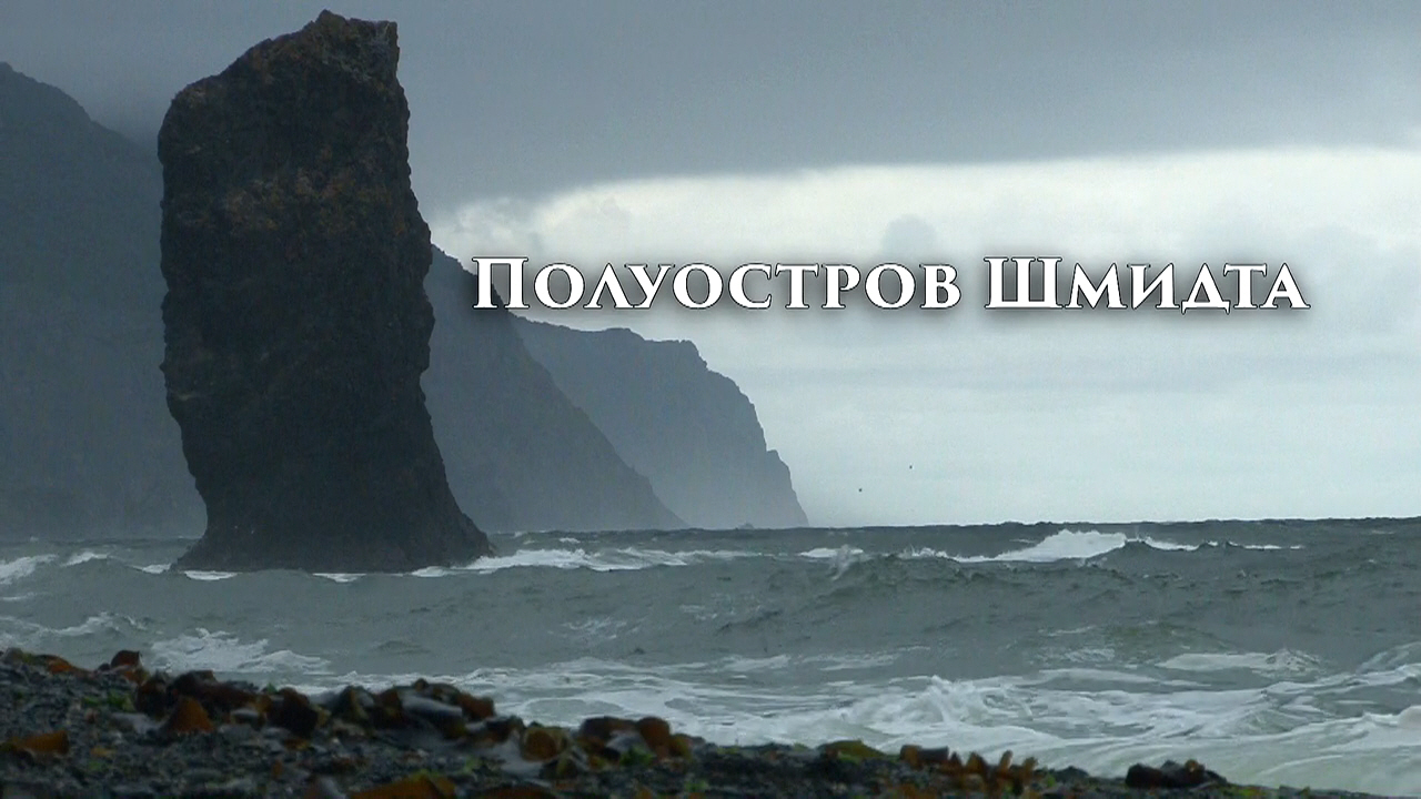 Сергей Асауленко