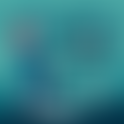 US companies being defrauded by North Korean job schemes