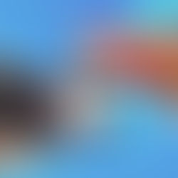 Apple's NameDrop & iOS Zero-Day: Key Insights