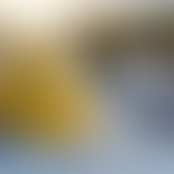 BIA urgently warns flood victims of contractor fraud