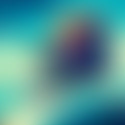 US Postal Service warns not to send checks by mail