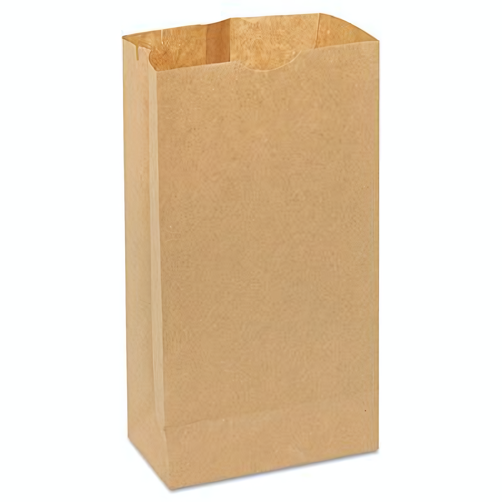 Paper Bag-1