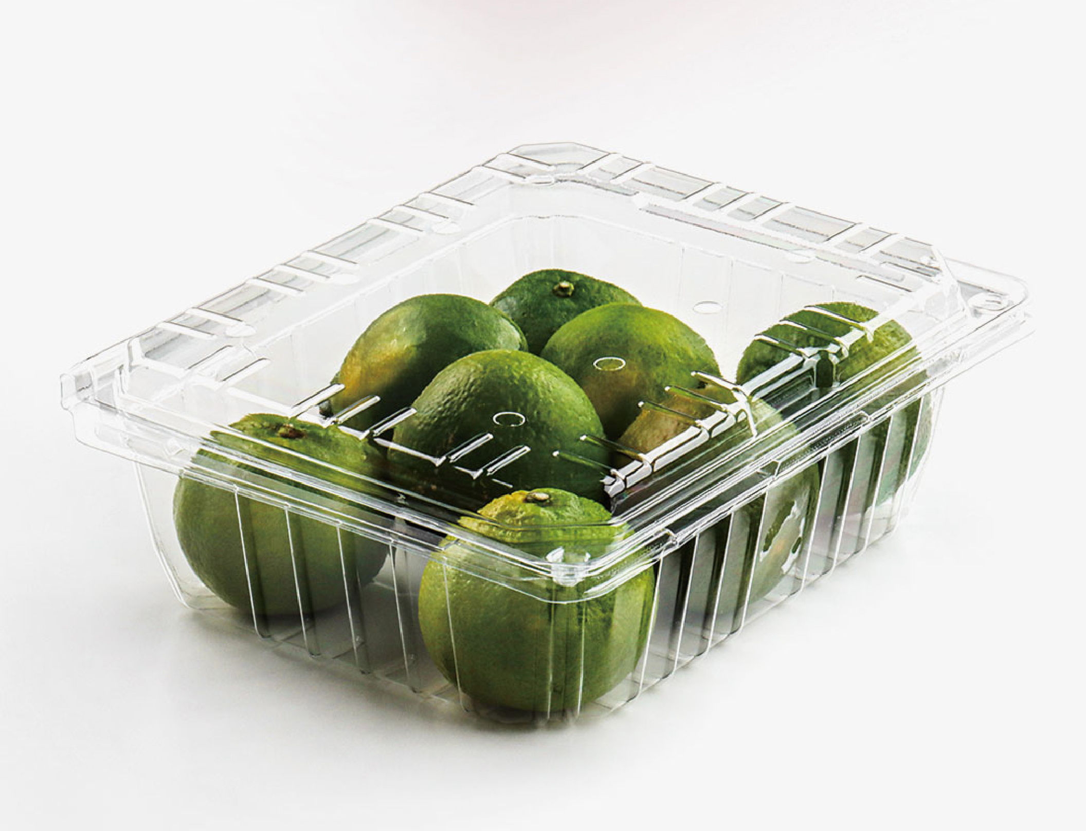 （1000a1）225*185*80mm