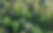 Screenshot 2024-09-20 at 2.29.11 PM.png