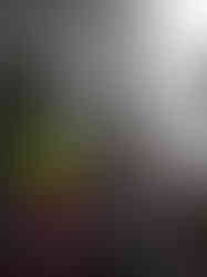 WhatsApp Image 2021-10-05 at 15.57.30.jpeg