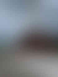 WhatsApp Image 2021-12-26 at 14.05.57.jpeg
