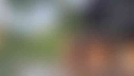 Snapinsta.app_331475816_9253458281338928_5618579677747240327_n_1080