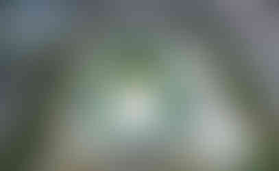 img-4143-7db0624775bd49de754ae7bc0720973e