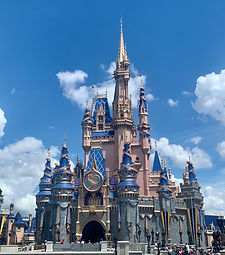 IMG_9226.jpeg