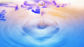 image4.png