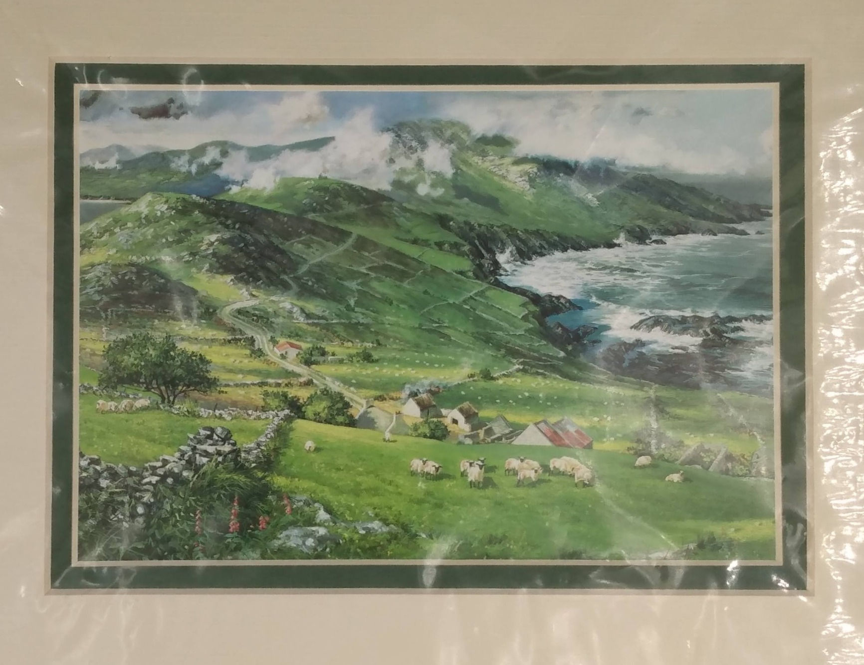 A Shepherd's Farm on the Irish Coast