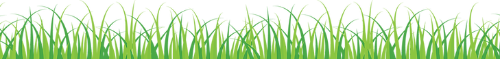 Grass.png