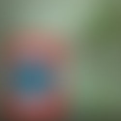 1984: A Tedious but Impactful Ride 