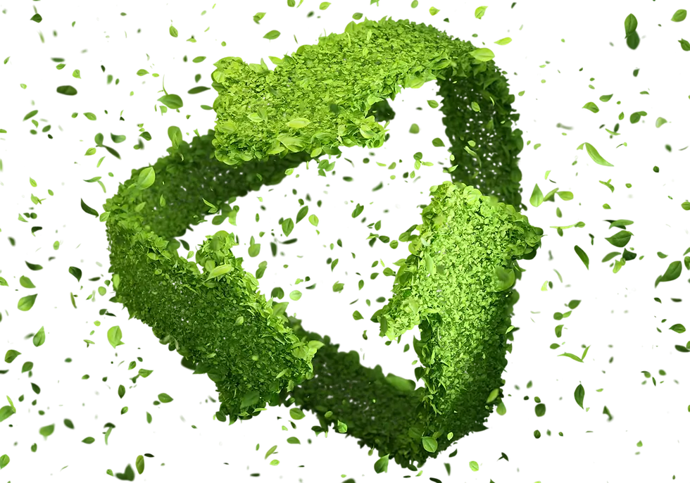 Green Recycling Symbol