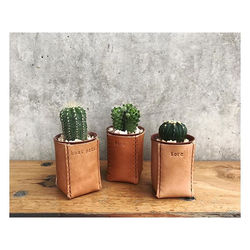 Leather pots #korapinbag #korapinstudio #genuineleather #thaidesignerbrand #cactus