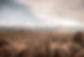Desert Mountains
