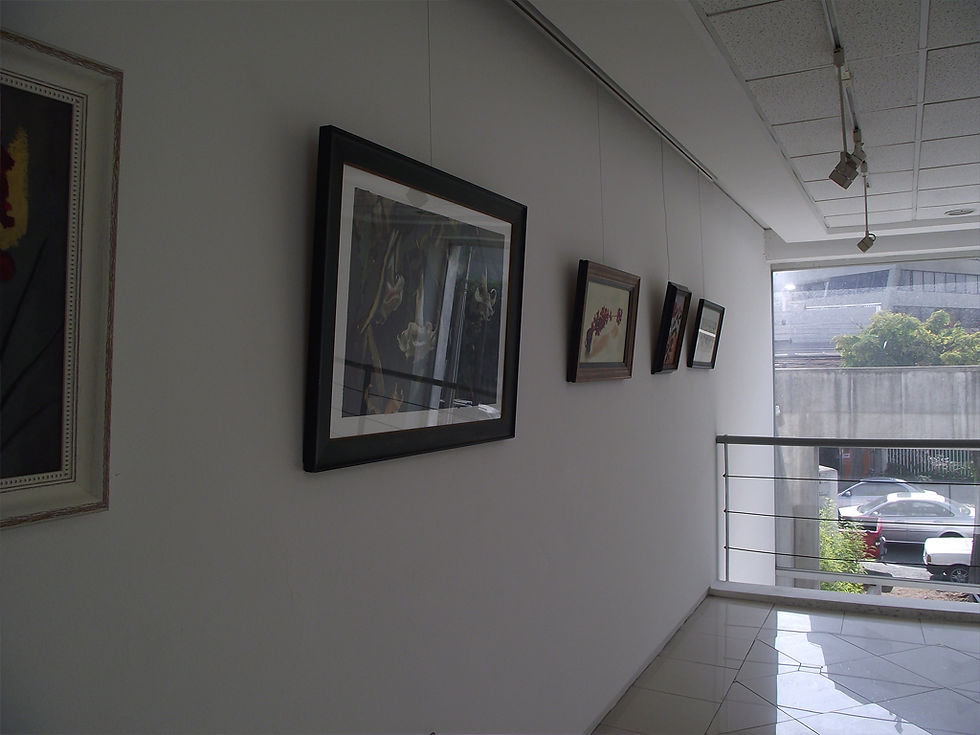 Exposición