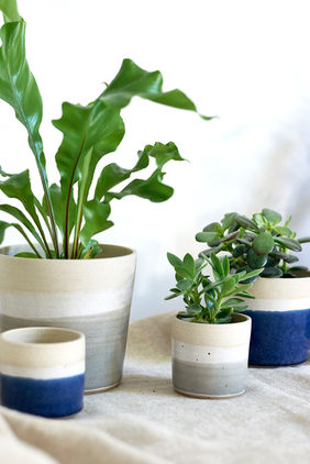 Product photographed with natural light for brand marketing.