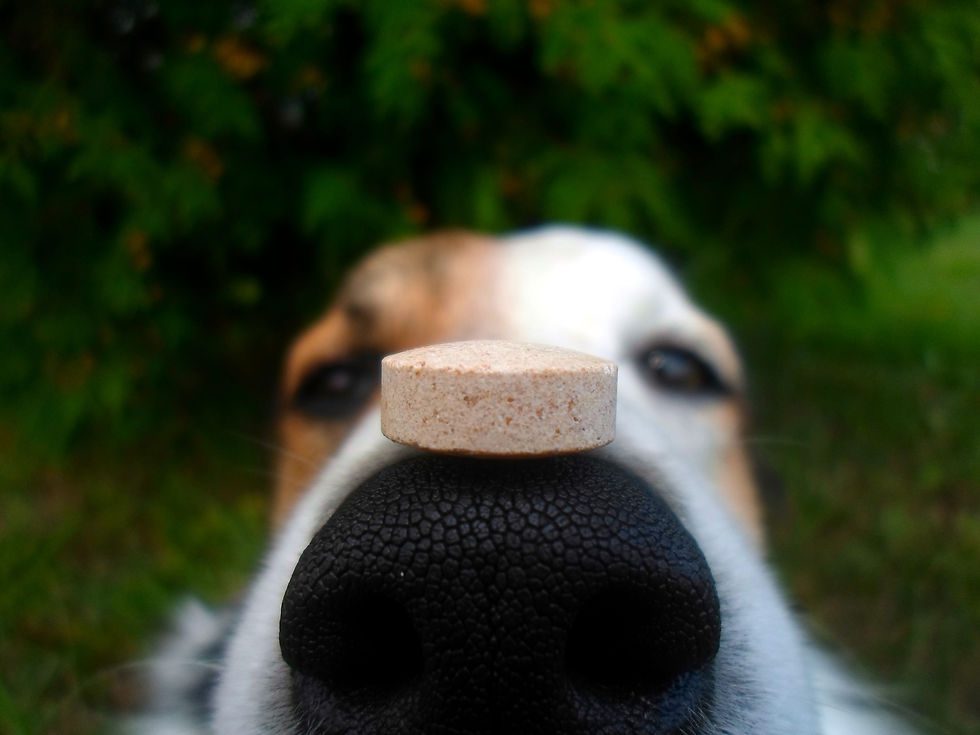 Vetosan: Imuno Plus oraz Arthro Plus