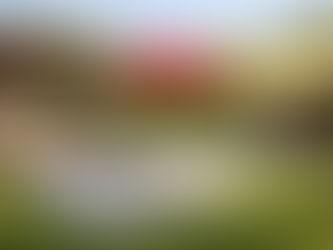 Coastal Patio Sunshade Ideas for Ultimate Comfort on the North Coast