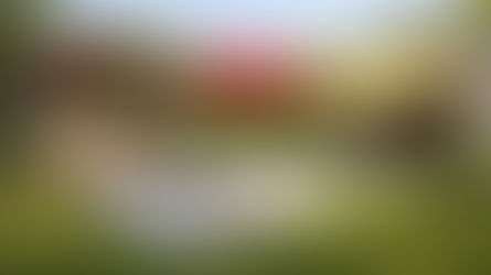 Coastal Patio Sunshade Ideas for Ultimate Comfort on the North Coast