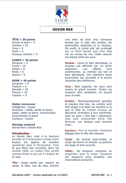 Standard du chat de race Devon Rex