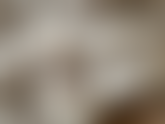 主婦の1人ランチ