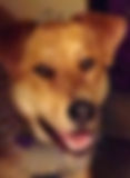 0.jpeg