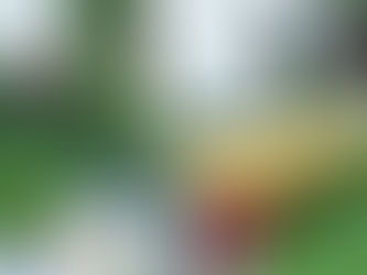 The Basic Definition of Thermal Cooking