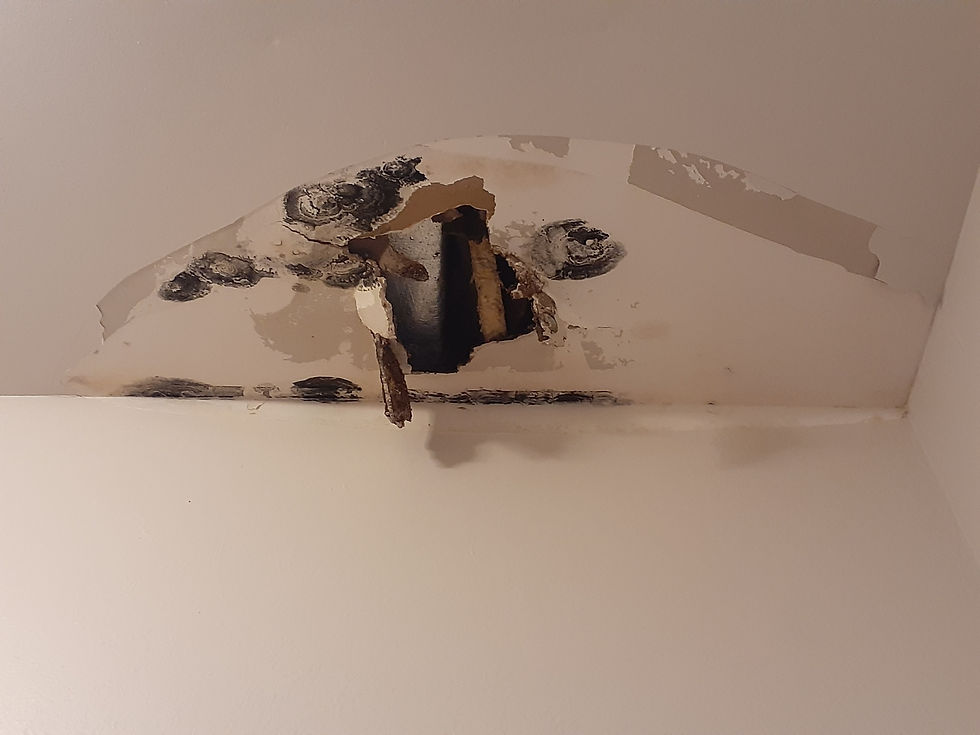 victoria-park-broward-county-LOCAL-INTERIOR-EXTERIOR-PAINTING-DRYWALL-REPAIRS-CONCRETE-REP